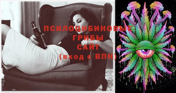 прущий лед Струнино