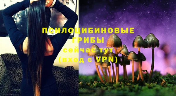 прущий лед Струнино