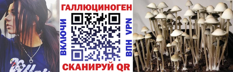 Псилоцибиновые грибы прущие грибы Купить Зима
